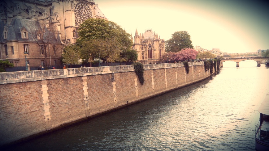 A picture I took in Paris along the Seine. 